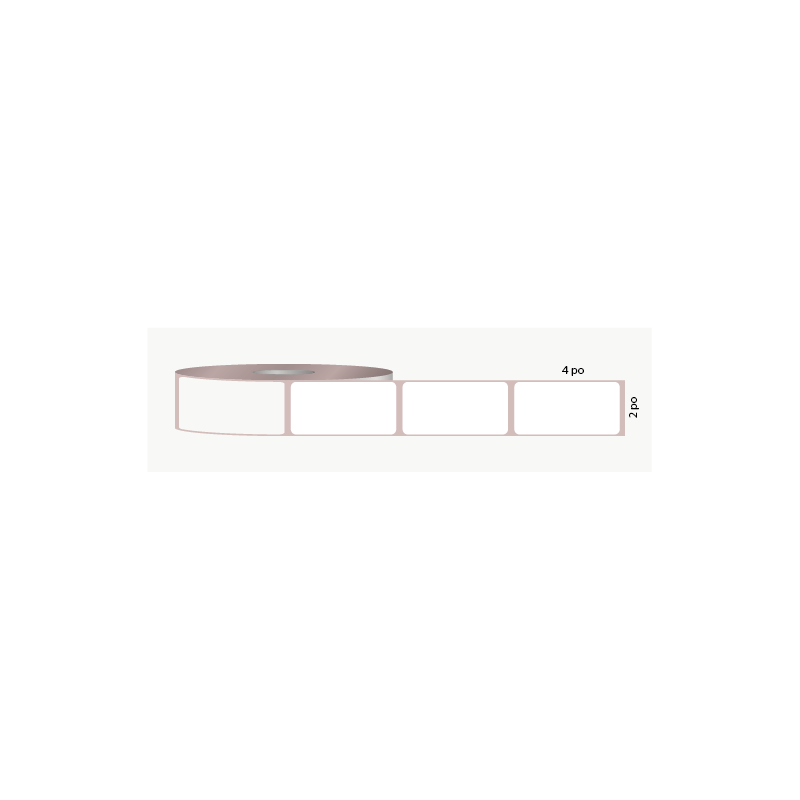 D.T. 2" x 4"