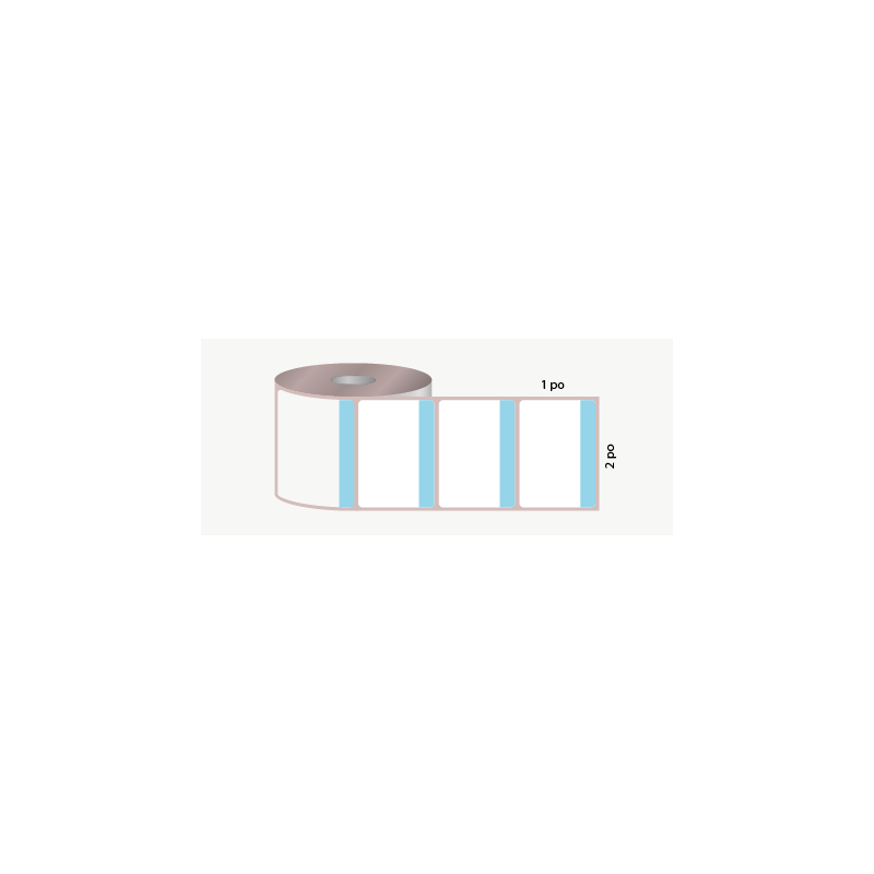 D.T. 2" x 1", 3 in. core, 5000 labels, hot melt adhesive, white with pale blue stripe