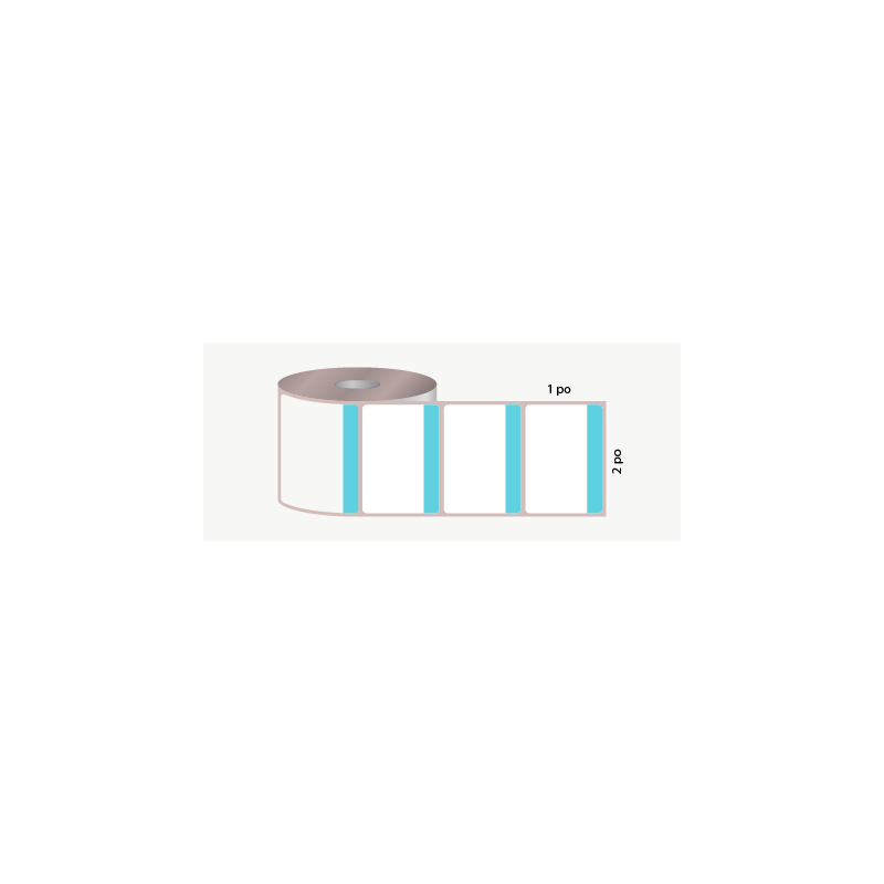 D.T. 2" x 1", 3 in. core, 5000 labels, hot melt adhesive, white with turquoise stripe