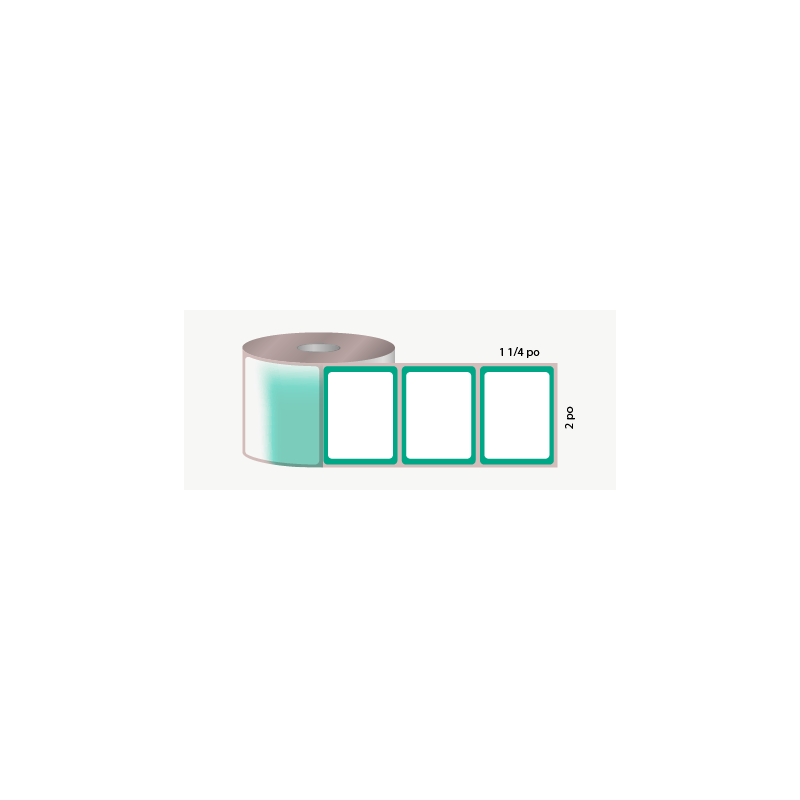 D.T. 2" x 1 1/4", 1 in. core, 1000 labels, for test tubes adhesive, white with green outline, perforated