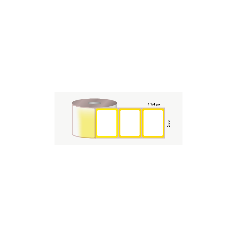 D.T. 2" x 1 1/4", 1 in. core, 1000 labels, for test tubes adhesive, blanc avec contour vert, perforated